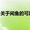 关于闲鱼的可靠性解析：真实体验告诉你答案
