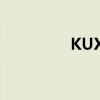 KUX格式解析及转换攻略