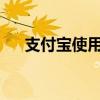 支付宝使用指南：一站式支付解决方案