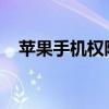 苹果手机权限设置详解：位置与步骤指南