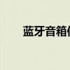 蓝牙音箱使用指南：操作方法与技巧