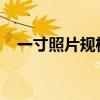 一寸照片规格详解：尺寸、分辨率及用途