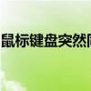 鼠标键盘突然同时失灵：原因解析与解决方案