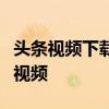 头条视频下载教程：一步步教你轻松保存热门视频