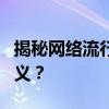 揭秘网络流行语中的