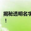 揭秘透明名字的复制技巧：轻松实现个性昵称！