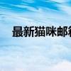 最新猫咪邮箱账号与密码大全：一网打尽