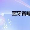 蓝牙音响使用指南：轻松上手操作