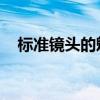 标准镜头的魅力：探索摄影中的最佳视角