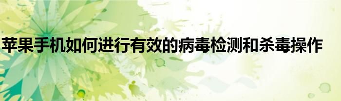 苹果手机如何进入开发者模式（苹果手机如何进行有效的病毒检测和杀毒操作方法）