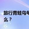 旅行青蛙乌龟的美食偏好：它们究竟喜欢吃什么？
