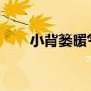 小背篓暖气片：优势特点与使用指南