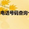 电话号码查询个人信息：隐私与安全的双刃剑