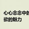 心心念念中的随意生活艺术：轻轻松松随心所欲的魅力