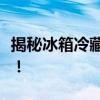 揭秘冰箱冷藏室排水孔位置，维护冰箱更轻松！