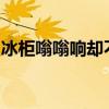 冰柜嗡嗡响却不制冷？原因与解决方法全解析