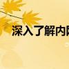 深入了解内网IP：定义、作用及配置方法