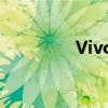 Vivox9sl处理器性能解析