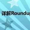 详解Roundup函数：概念、应用与操作指南