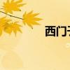 西门子洗衣机按键操作指南