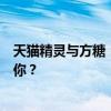 天猫精灵与方糖：深度对比揭示，哪款智能家居助手更适合你？