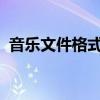 音乐文件格式详解：分类、特点及应用场景