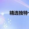 精选独特七个字网名，打造个性风格