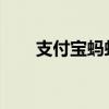 支付宝蚂蚁积分：揭示其用途与价值