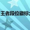 王者段位徽标大全：荣耀巅峰的专属荣耀印记