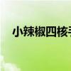 小辣椒四核手机：性能与体验的完美结合