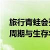 旅行青蛙会死吗？——揭秘旅行青蛙的生命周期与生存状况