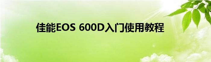佳能eos 600d入门教程（佳能eos600d单反相机入门教程）