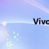 Vivox5max当前价格解析