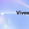 Vivox21刷机教程及注意事项