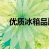 优质冰箱品牌推荐：哪个牌子更值得选？