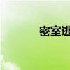 密室逃脱：博物馆的神秘之旅
