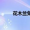 花木兰兔女郎皮肤需要多少碎片？