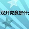 双开究竟是什么意思？详解双开概念及其背景