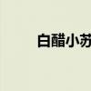 白醋小苏打：洗衣机的天然清洁剂