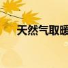 天然气取暖炉：高效、环保的温暖之选