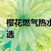 樱花燃气热水器：高效、智能、舒适生活的首选