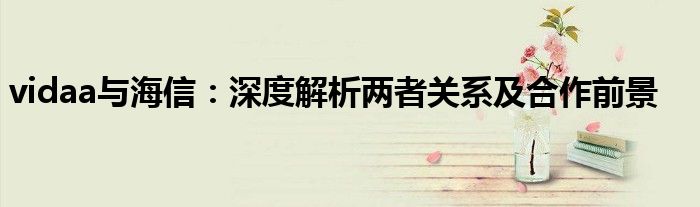 vidaa和海信是一个品牌吗（vidaa与海信）