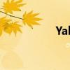 Yale指纹锁说明书详解