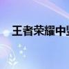 王者荣耀中竖名命名方法及独特名称推荐