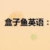 盒子鱼英语：探索全新的在线英语学习体验