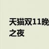 天猫双11晚会嘉宾：星光熠熠，狂欢购物节之夜