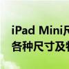 iPad Mini尺寸大全：全面解析iPad Mini的各种尺寸及特性