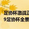 足协杯激战正酣，赛场内外故事纷呈——2019足协杯全景回顾
