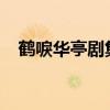 鹤唳华亭剧集：古韵悠长，演绎传统之美