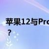 苹果12与Pro系列：对比解析，哪款更适合你？